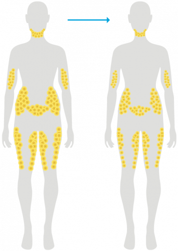 Normale Gewichtsabnahme